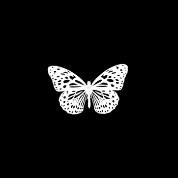 Papillon production